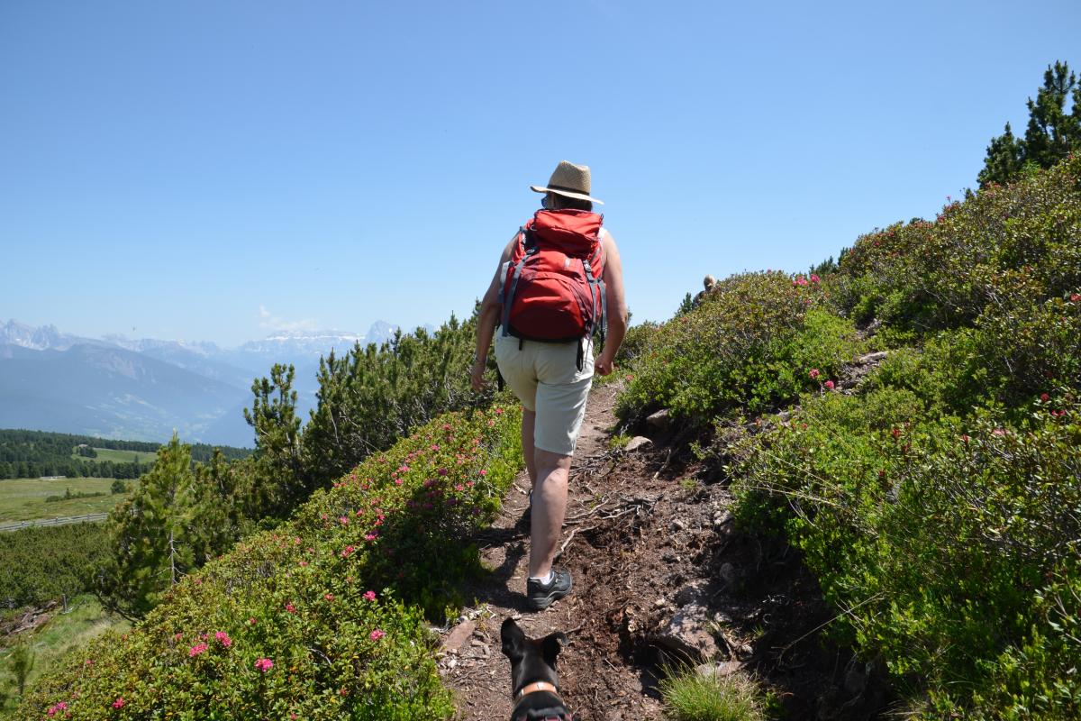 Platzer Alm 26.06.2019